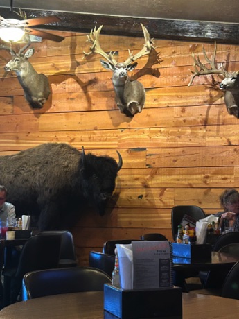 another restaurant wall, West Yellowstone